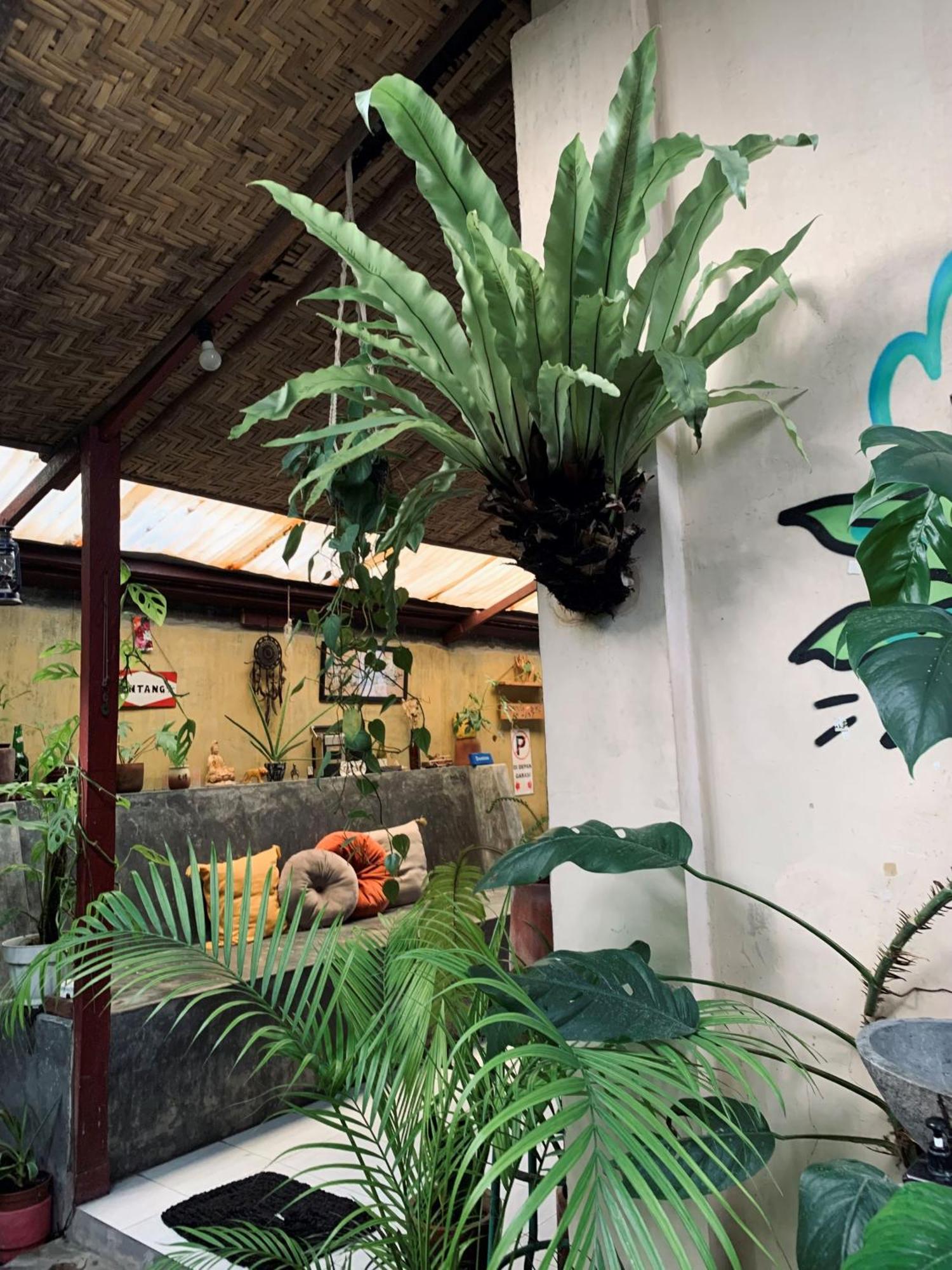 Diwas Stay Yogyakarta Extérieur photo